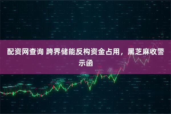 配资网查询 跨界储能反构资金占用，黑芝麻收警示函