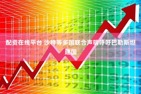 配资在线平台 沙特等多国联合声明呼吁巴勒斯坦建国