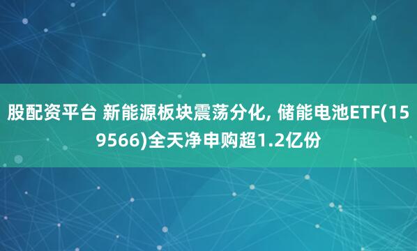 股配资平台 新能源板块震荡分化, 储能电池ETF(159566)全天净申购超1.2亿份