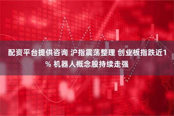 配资平台提供咨询 沪指震荡整理 创业板指跌近1% 机器人概念股持续走强