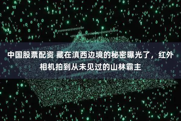 中国股票配资 藏在滇西边境的秘密曝光了，红外相机拍到从未见过的山林霸主