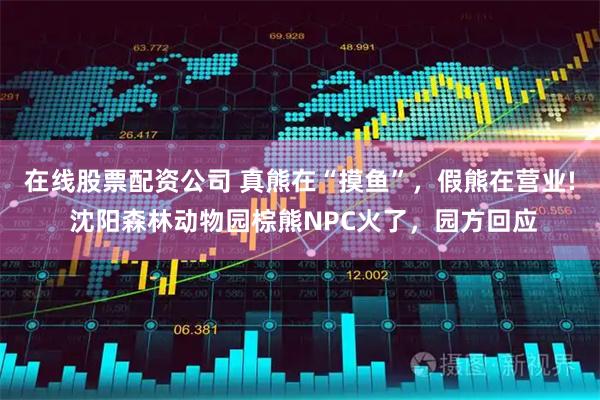在线股票配资公司 真熊在“摸鱼”，假熊在营业! 沈阳森林动物园棕熊NPC火了，园方回应
