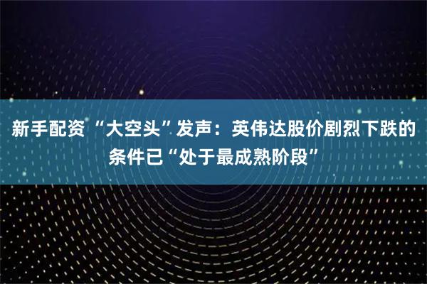 新手配资 “大空头”发声：英伟达股价剧烈下跌的条件已“处于最成熟阶段”